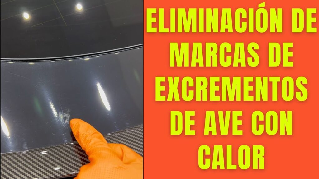 Cómo quitar las manchas de heces de pájaro