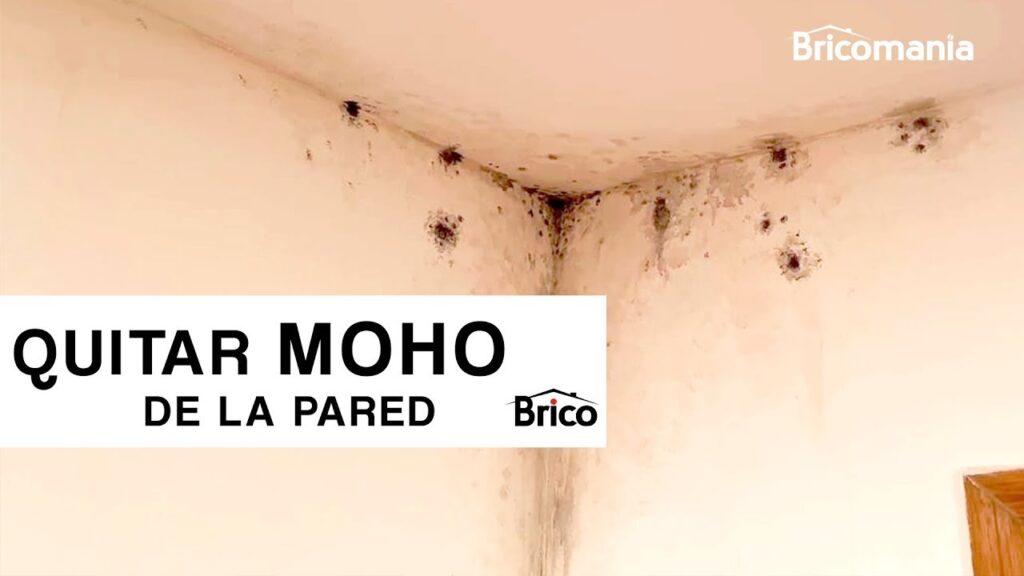 Cómo quitar las manchas de humedad en paredes pintadas