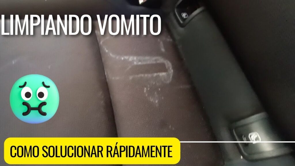 Cómo quitar las manchas de vómito del coche
