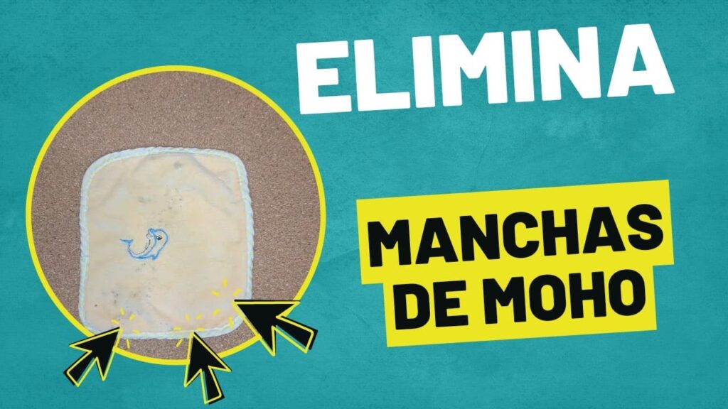Cómo quitar las manchas negras de moho de la ropa