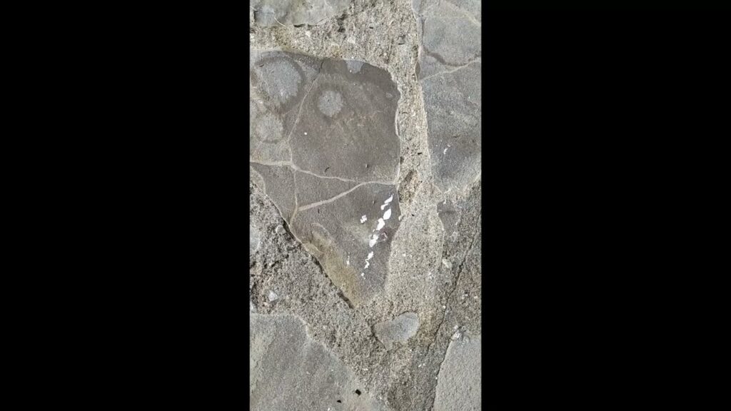 Cómo quitar las manchas de pintura en suelo poroso